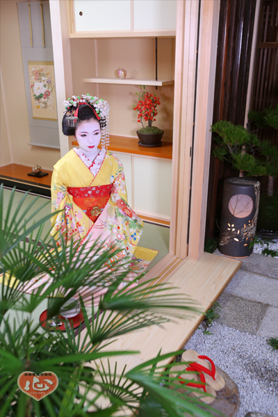 舞妓