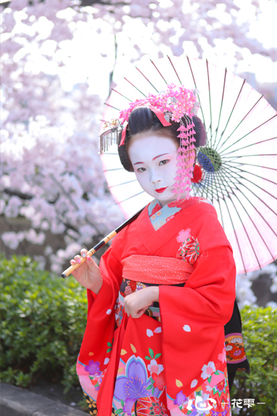 舞妓5