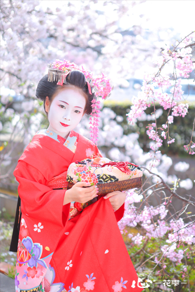 舞妓1