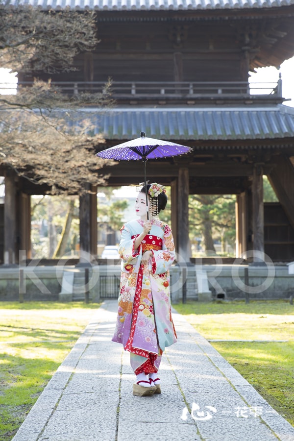 舞妓1