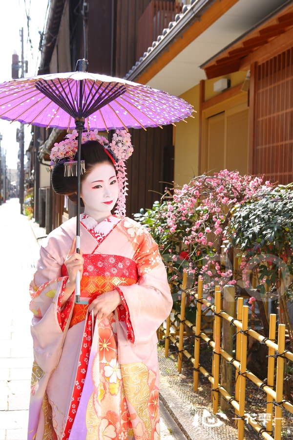 舞妓4
