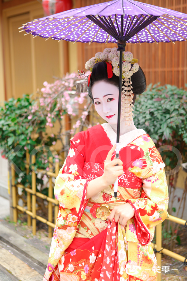 舞妓