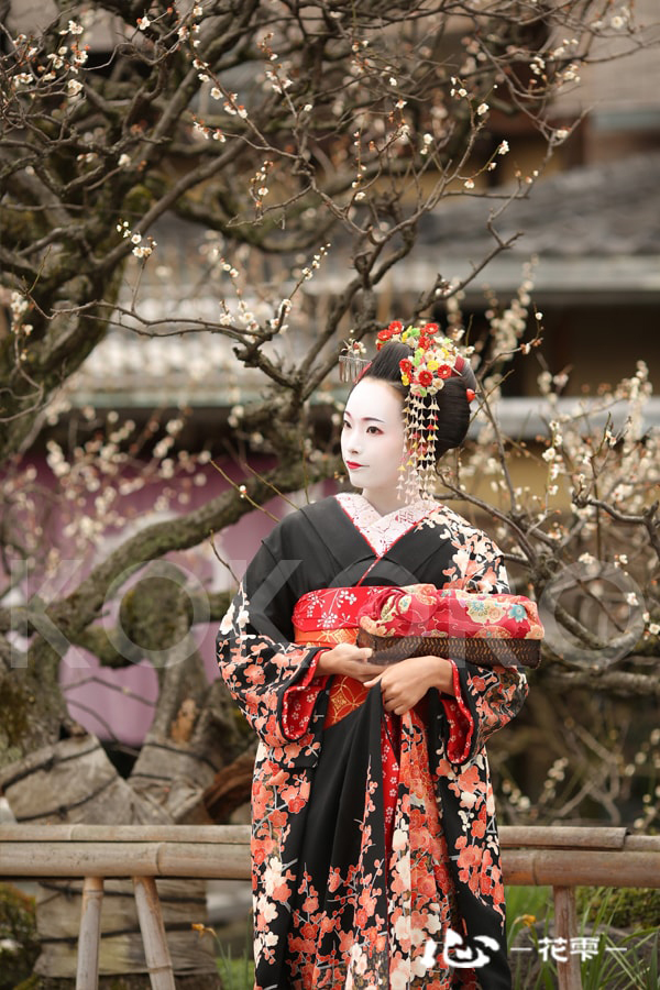舞妓