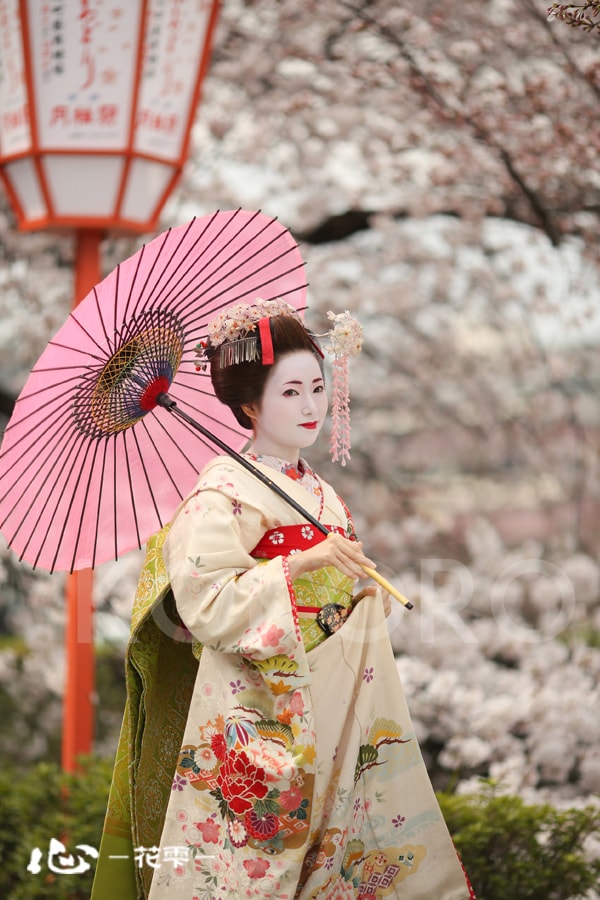 舞妓