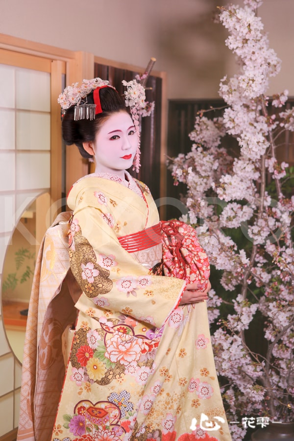 舞妓