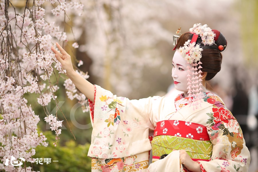 舞妓
