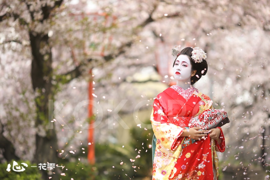 舞妓