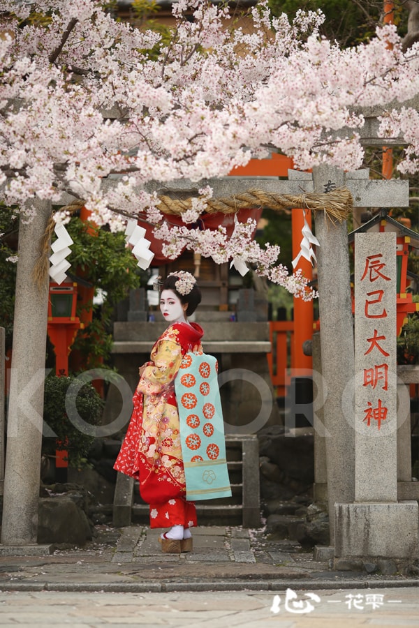 舞妓