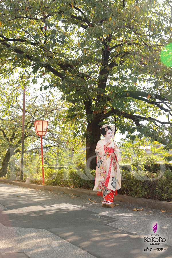 舞妓体験 東山の心
