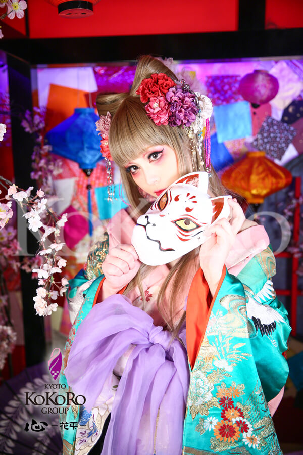 胡蝶蘭プラン 猫花魁